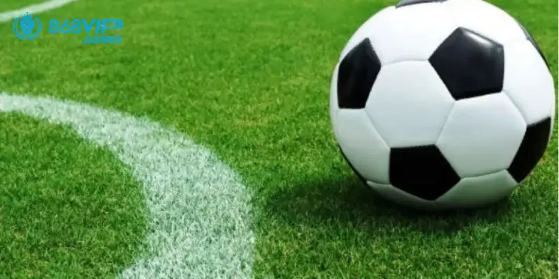 Kèo 0 - 0.5 áp dụng kinh nghiệm thực tiễn sẽ nâng cao khả năng chiến thắng